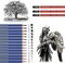26 PCS Drawing Sketching Pencil Set – 14 Graphite Pencils (12B to 6H) Art Kit with Charcoal, Erasers, Sharpener & Extender – Professional Drawing Supplies for Artists & Beginners